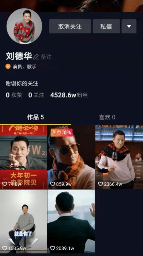 娱记爆料视频网站大全,娱记爆料视频网站大全盘点
