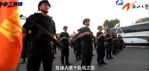 警察爆料的视频大全最新,最新视频大全背后的真相与内幕