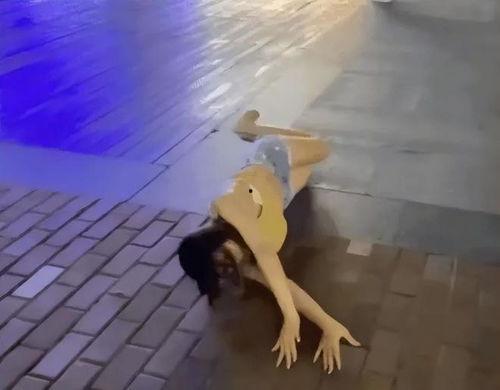 网红被子爆料视频,揭秘爆款背后的秘密与魅力