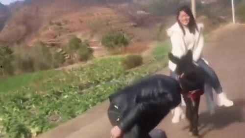 二驴爆料女朋友视频大全,甜蜜瞬间大盘点