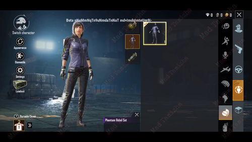 pubg国际服皮肤爆料最新,最新Pubg国际服皮肤爆料，潮流元素一网打尽！