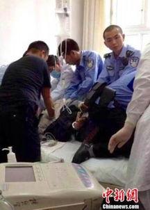 石家庄监狱爆料案件最新,内幕揭露与真相探寻