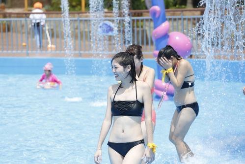 比基尼乐园在线观看,激情夏日，畅游性感海滩的奇幻之旅