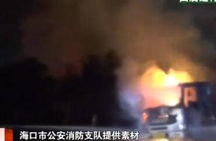 谁爆料阿迪有孩子了视频,育儿视频曝光引网友热议