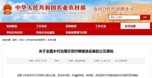 新闻爆料青岛新闻联播,聚焦岛城发展动态，传递民生温度