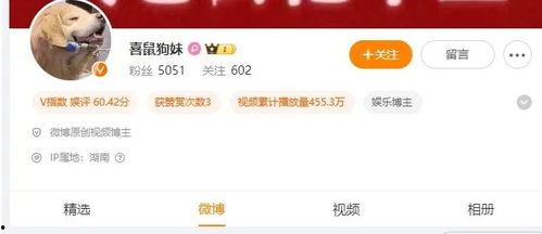 粉丝热点爆料怎么弄的视频,视频生成背后的秘密解析