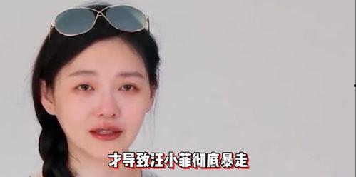 娱乐大爆料汪小菲视频,娱乐大爆料背后的惊人真相