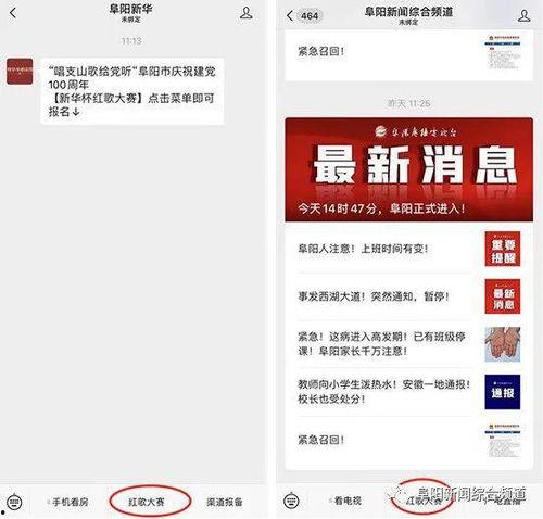 阜阳网红爆料新闻视频,揭秘当地热门事件背后的真相
