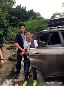 德庆最新爆料新闻视频,视频揭露惊人内幕，真相令人震惊！