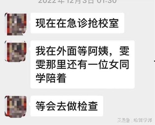 文安网友爆料新闻最新消息,揭秘事件真相