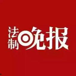 新闻君爆料热线,揭秘最新热点事件背后的真相