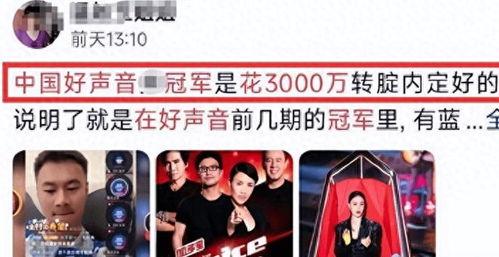 好声音爆料视频大全最新,揭秘选手幕后故事与精彩瞬间