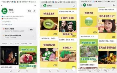 百果园爆料视频大全集最新,揭秘水果界的秘密与奇闻