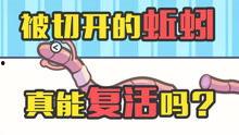 赛雷的视频爆料,揭秘娱乐圈幕后真相