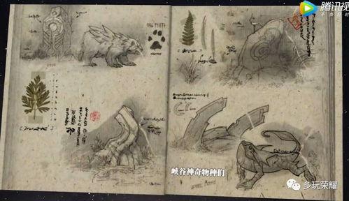 地图爆料视频在线观看,带你领略城市变迁与未来规划