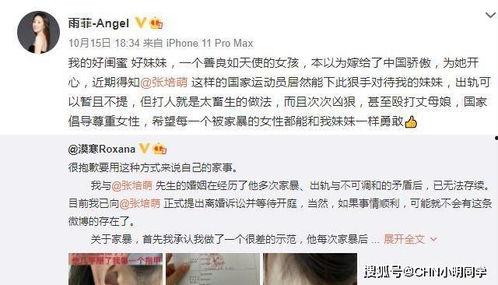 张龙妻子爆料视频在线观看,揭秘夫妻关系背后的惊人真相