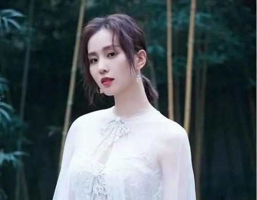 刘诗诗娱乐爆料最新消息,最新动态揭秘，精彩瞬间引关注