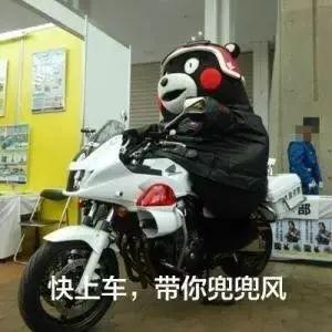 扒爷说圈内爆料摩托流量,圈内爆料，摩托流量背后的秘密大公开
