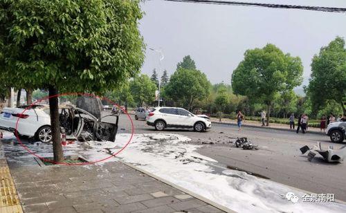 南阳特岗爆料事件最新,真相与争议交织的职场风云