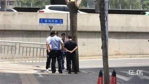 南阳特岗爆料事件最新,真相与争议交织的职场风云