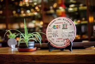 茶叶爆料视频大全最新版,揭秘茶叶界的秘密与真相