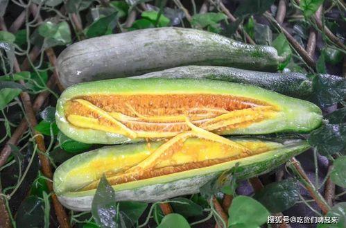 ppt网红吃瓜,揭秘网络红人的幕后故事