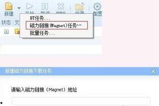 卓伟爆料视频bt 磁力链接,揭秘娱乐圈不为人知的秘密，bt磁力链接曝光