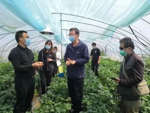 西北农林爆料最新消息,重大科研成果引发行业关注！”
