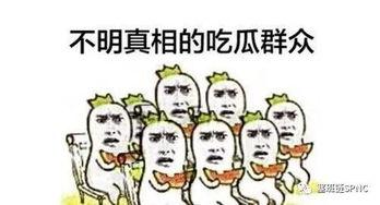 吃瓜群众视频大全免费观看,吃瓜群众视频大全，揭秘娱乐圈幕后故事