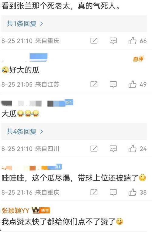 张颖颖爆料分析最新消息,揭秘娱乐圈最新动态与幕后真相