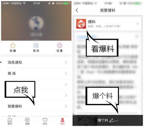 爆料视频可以发哪些网,探索网生成技术的奥秘