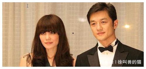 天涯 娱乐圈爆料,天涯爆料背后的真实故事