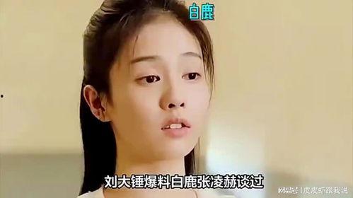 刘大锤最新爆料白鹿,白鹿神秘幕后故事大曝光