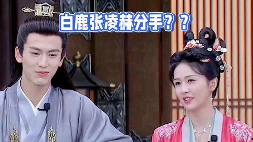 刘大锤最新爆料白鹿,白鹿神秘幕后故事大曝光