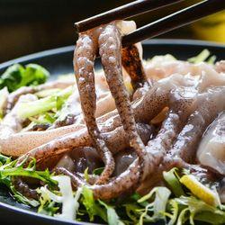 鱿鱼最新爆料视频大全图片,视频大全图片揭秘幕后真相