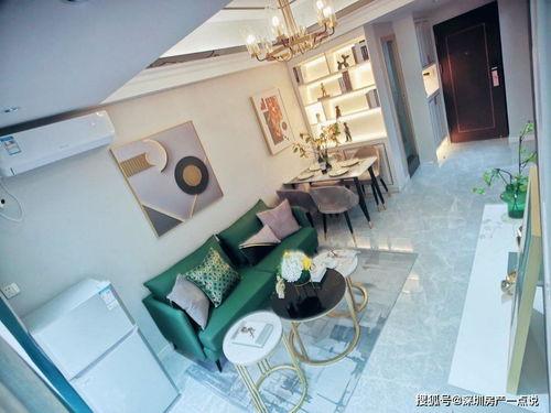 深圳陈先生最新爆料,揭秘事件背后惊人真相