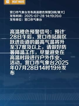 营口头条最新爆料,揭秘重大事件背后真相