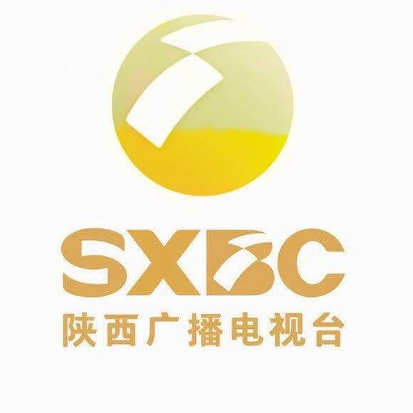 陕西电视台第一新闻爆料,揭秘XX事件背后真相