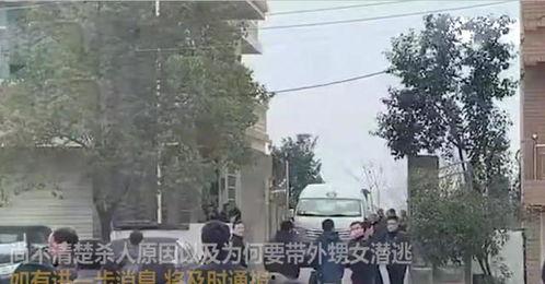 夏县周村爆料事件最新,真相揭开，村民权益如何保障？