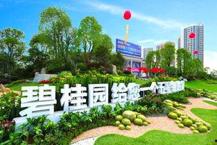 延庆碧桂园爆料视频,品质与问题并存