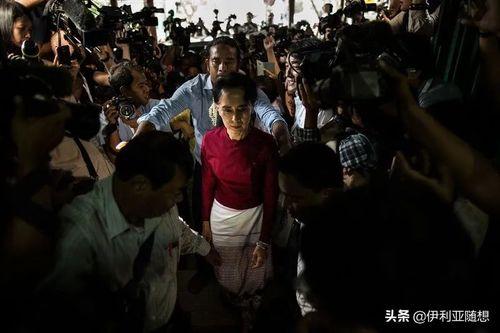 缅甸老哥爆料新闻事件,最新新闻事件深度解析