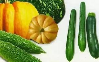 娱乐吃瓜风格是什么样的,揭秘明星们的“吃瓜”日常