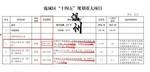 莎头最新动态和爆料2025,揭秘明星背后的故事与蜕变