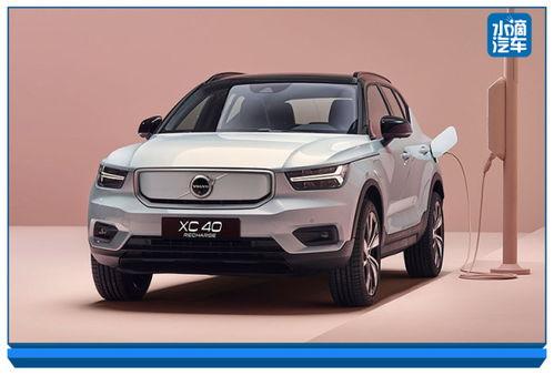 莎头最新动态和爆料2025,揭秘明星背后的故事与蜕变