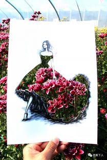 菊美人最新爆料,揭秘娱乐圈不为人知的秘密