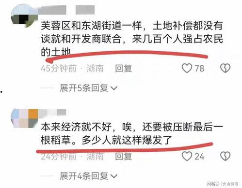 长沙春季爆料新闻事件最新,考古新发现引热议