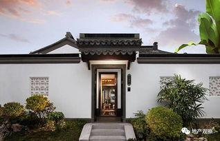 版纳桃李春风最新爆料,揭秘神秘爆料背后的精彩故事