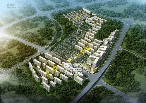 版纳桃李春风最新爆料,揭秘神秘爆料背后的精彩故事