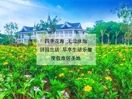 版纳桃李春风最新爆料,揭秘神秘爆料背后的精彩故事