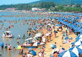 秦皇岛浴场爆料案件最新,真相渐浮水面，疑云终将拨开